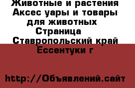 Животные и растения Аксесcуары и товары для животных - Страница 2 . Ставропольский край,Ессентуки г.